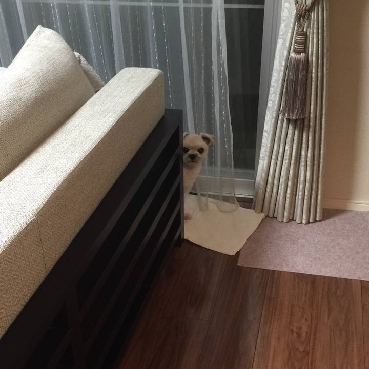 0931ba55 a8e8 4899 9993 9b2453317280 1535540479355