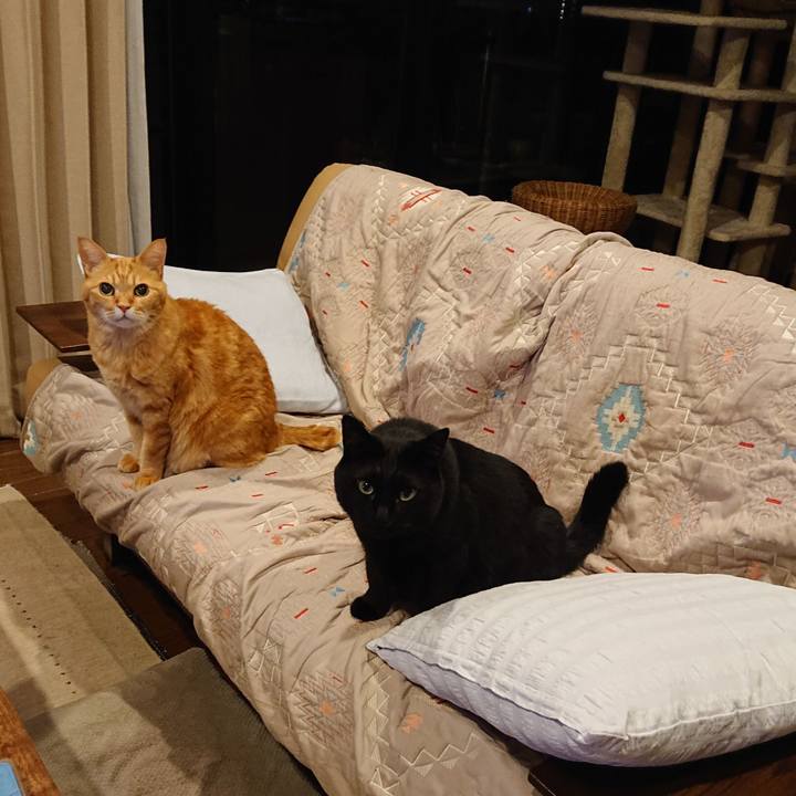 0931e837 8547 4044 b93b bddf5e2b8ef4 1620109431286