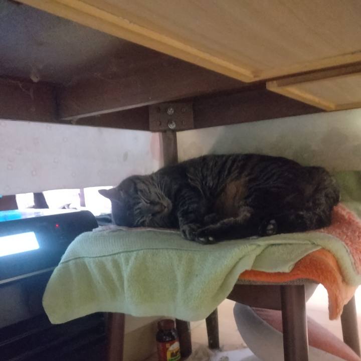 0931e947 8f18 4efa 951e 00c00ea1b204 1708640952925