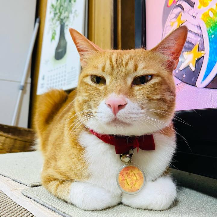 09321ce6 b00d 4b7b ba22 0af1fb2621b3 1680956395268