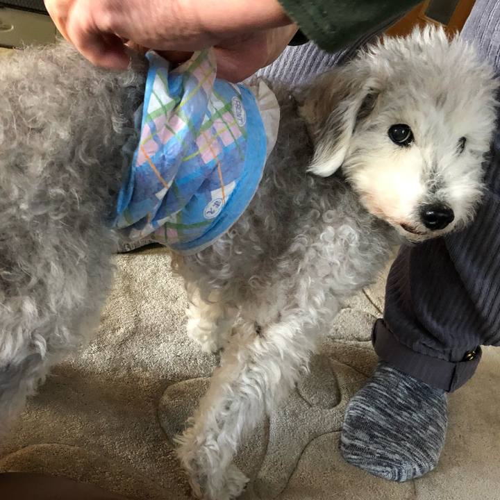 09323f90 a7c9 4d34 a086 0d7027dc477b 1644139945603