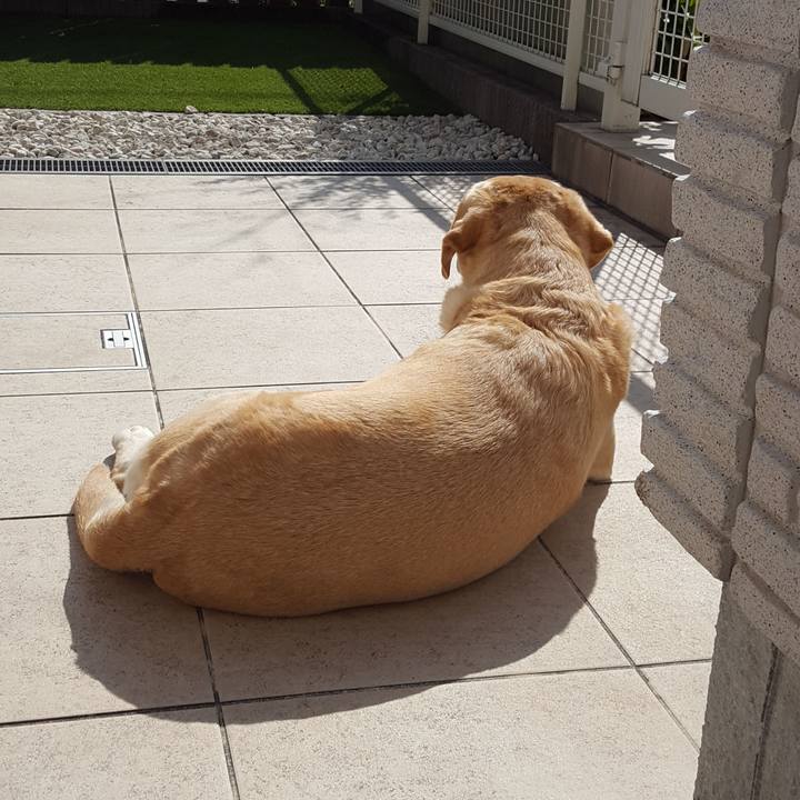 093247a8 0a80 4a72 aa86 4a1b70685134 1583124433225