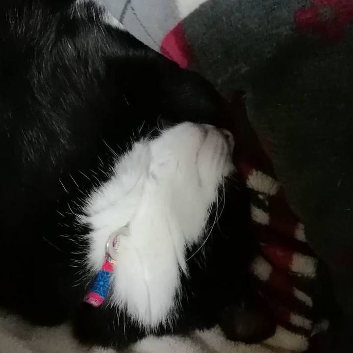 0932507b af63 4d42 97d7 ef308c07012d 1606659054852