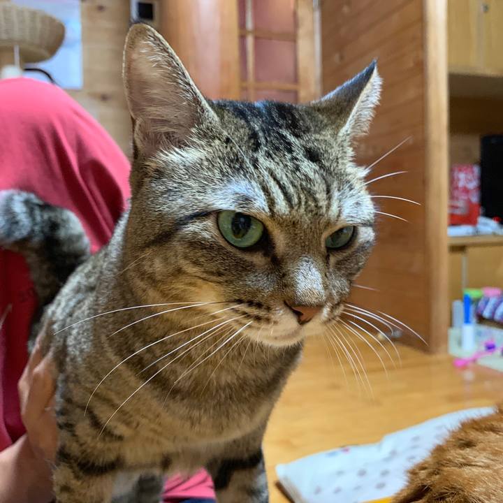 09326179 1ee7 486b 9566 303ea7fe52d1 1568124979973