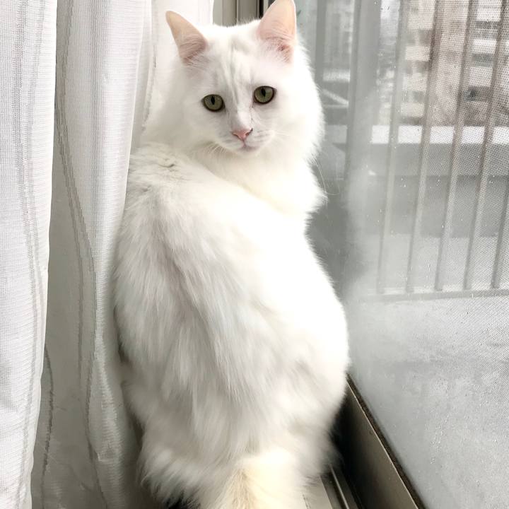 09329524 e262 4fff 95d7 eb4f97980e65 1584597159286