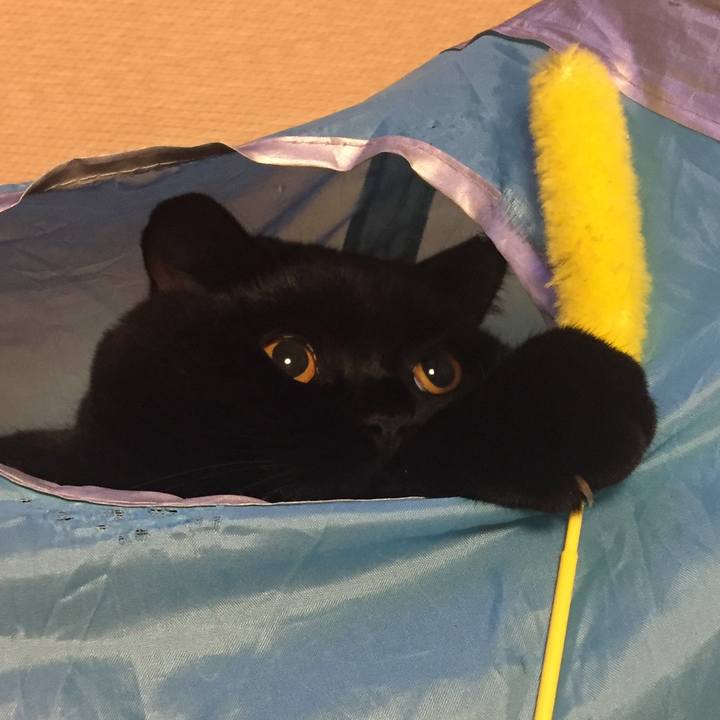 09329f5e 96cf 4a0d b405 f117422bf627 1507896287500