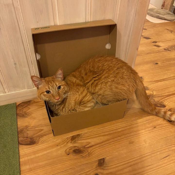 0932c8ef 8cbf 47b1 9bc4 5126c7282855 1764150993167