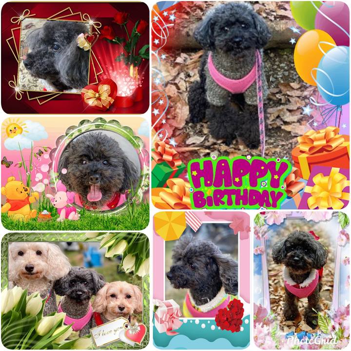 0932d658 f3b7 4151 86af 52c3cf380147 1584682064089