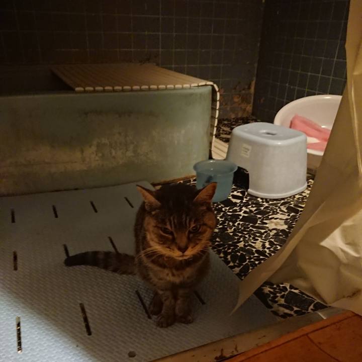 0932f374 4e77 4afa 9004 1e0fdd907b4a 1580550312813