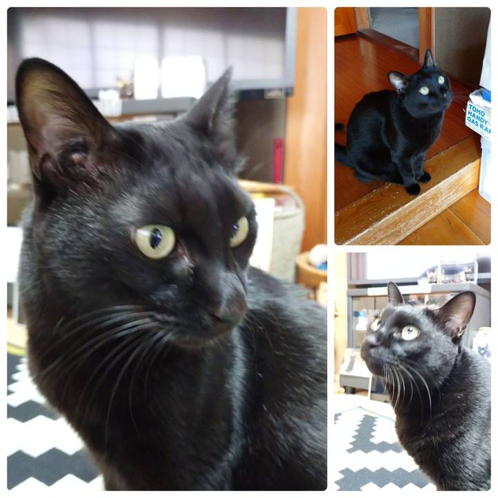 0932f8a9 d975 43eb aaef 0151d4e26fd3 1635672791477