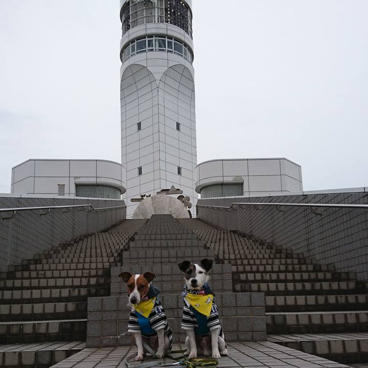 0932fd06 5432 42d7 931e 4e3650f592cb 1552200158483