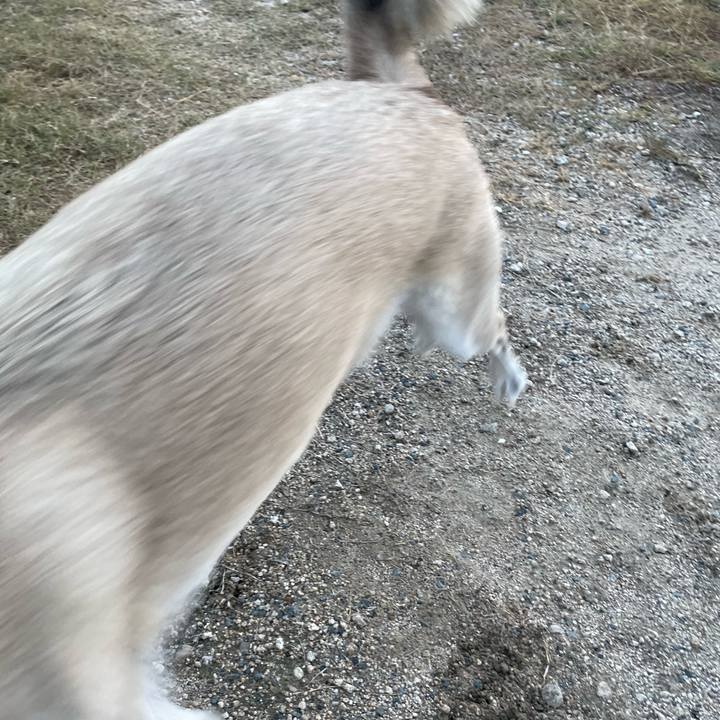 0933760b a323 4576 86f9 401f4abf519d 1699358235362