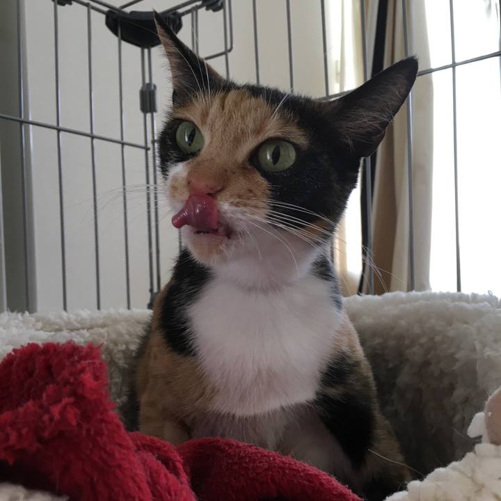 09337f95 cd3d 4b0d 9aba a405fa944944 1518406354390