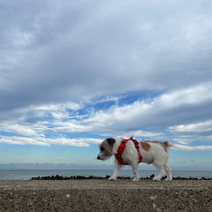 09338152 72d5 4b5b 9b11 dadd4e7a96fc 1665619005003