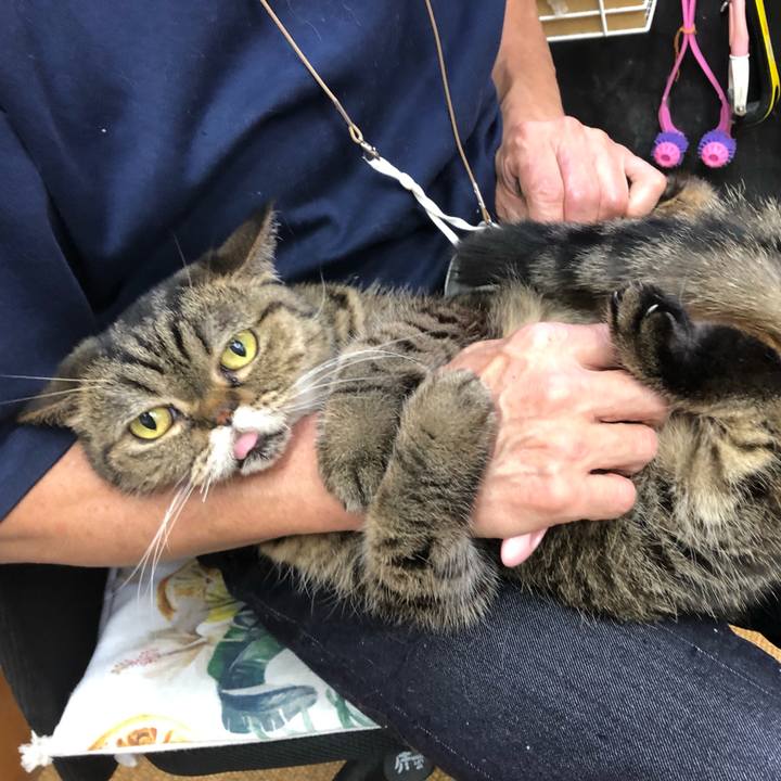 0933b398 36c1 4fb7 a035 e98f71c1605c 1645490260366