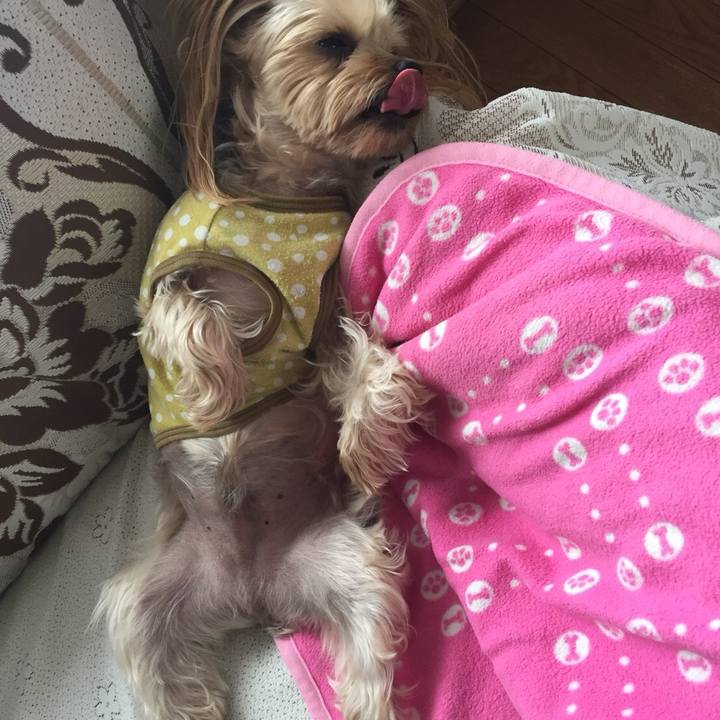 0933e988 33e4 4232 9518 2d537b5fb936 1523054844550