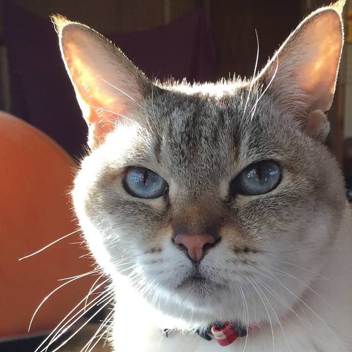 0933f5e7 51ad 4de2 ab1d 919ebfe3edfd 1516864921693