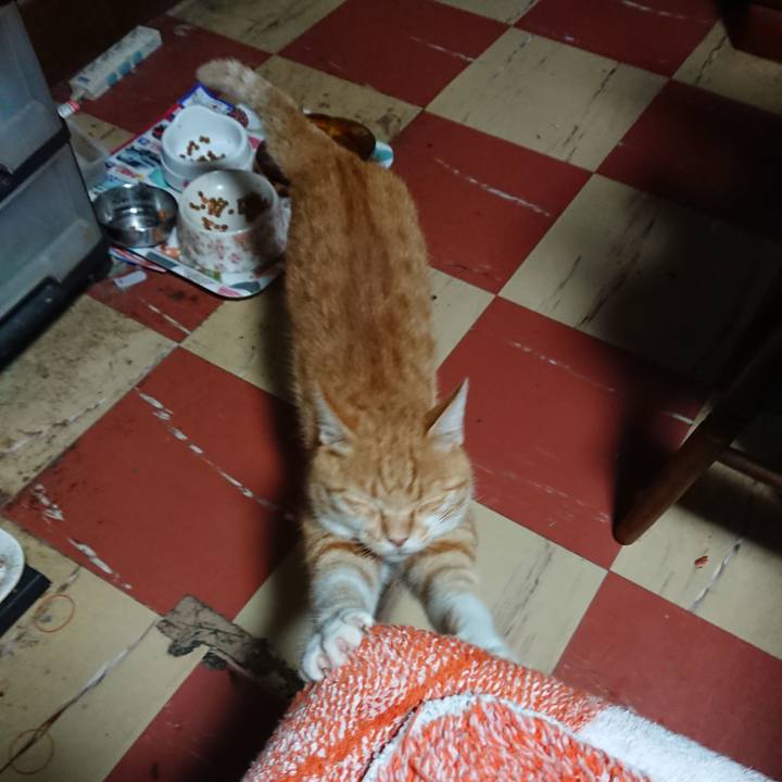 093441b2 60ae 4d76 bf1a bcfa5389e3a3 1595360737792