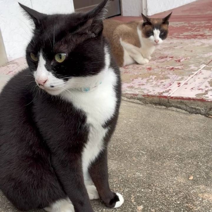 09344492 641f 4eb8 82dd 1b1db963366e 1748137390667