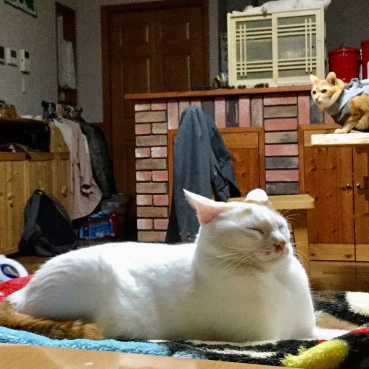 093492d7 ba73 490b 8c3c 215aa9a8a30a 1574133488087