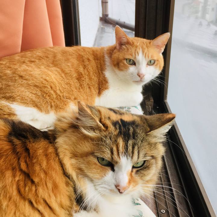 0934a942 5a45 4cec 9c39 b0f06817831a 1562472024398