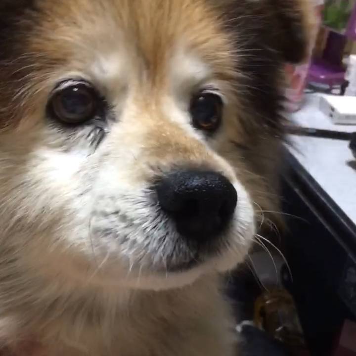 0934d4f9 343b 46e4 a238 887a7e98d792 1551222951210