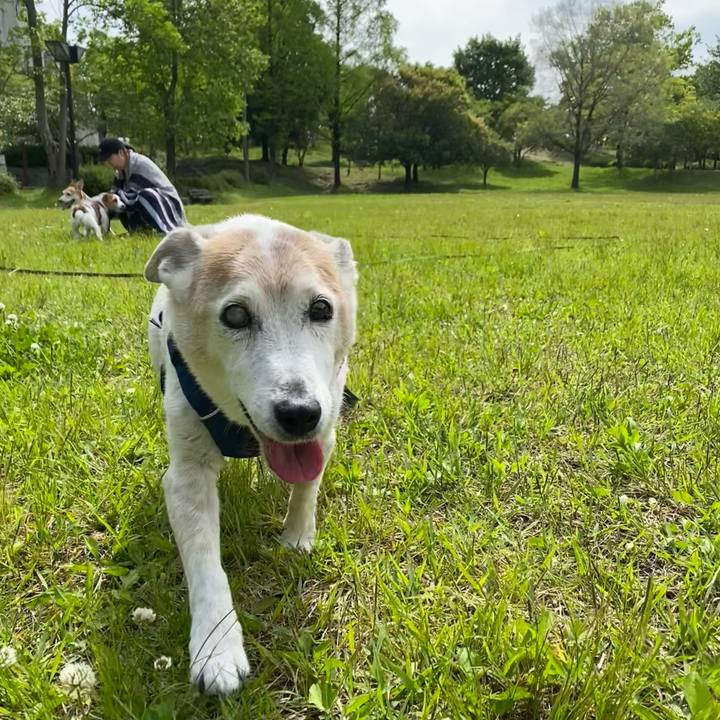 0934ebd3 0538 44b7 bc0e b3e34845cd65 1683113377031