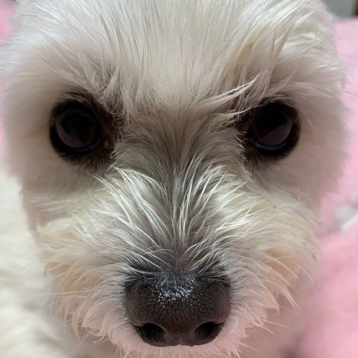 09351294 7bd8 41b9 b2a8 d910d9e7cefe 1611404175578