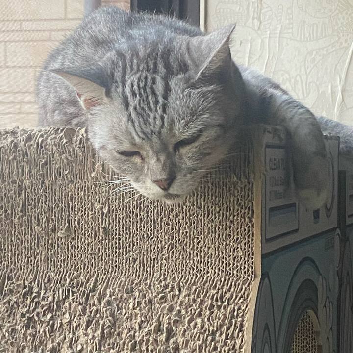 09351dc7 c71d 49d2 ac44 5de0bd62a39b 1722680372064