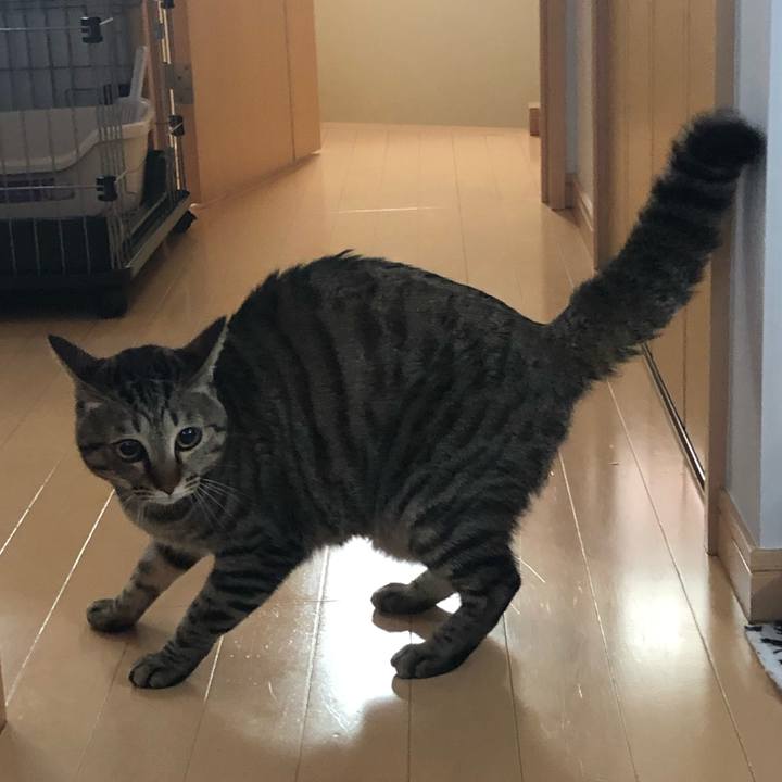 0935718d 6b9e 4fc8 bf9d 1fcedcf9d642 1552945945461