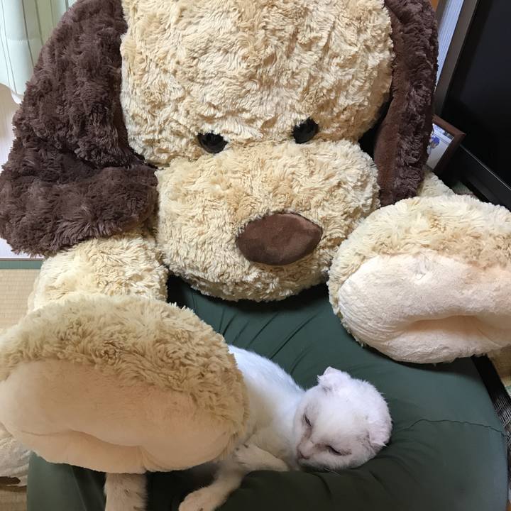 09358402 61a8 42ff 9c63 a4b4e4f8e5f6 1528719513489