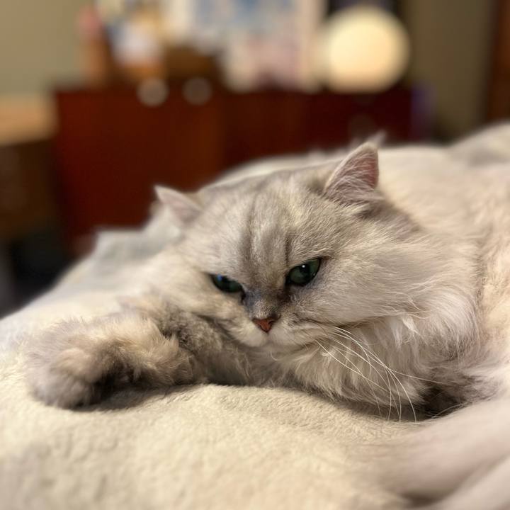 093589bb bd29 49a5 8ef0 708f5708a12e 1704792507280