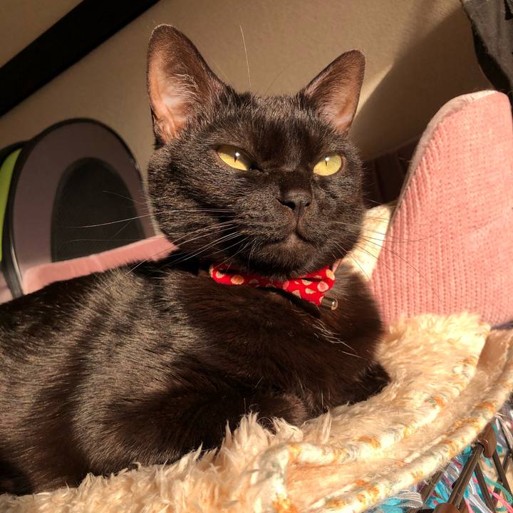 0935c9c5 85f6 45e4 a4ca 55792aab96bc 1612394599206