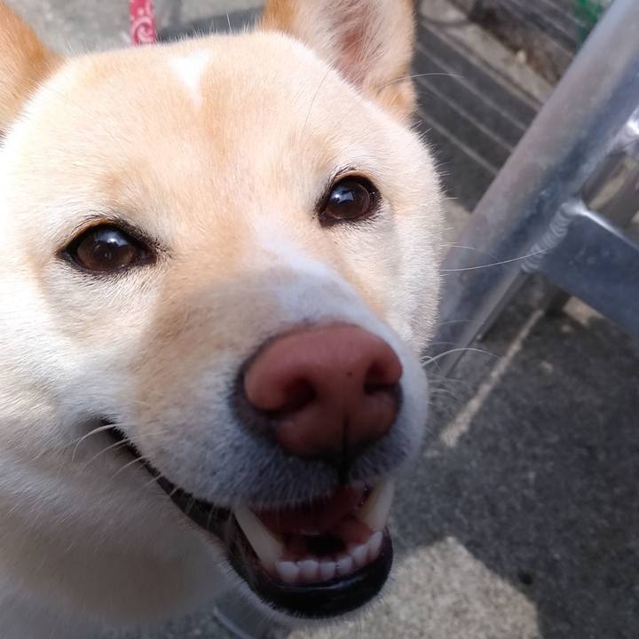 0935e815 39e3 4f47 8fb2 fea3329da7ba 1557549455967