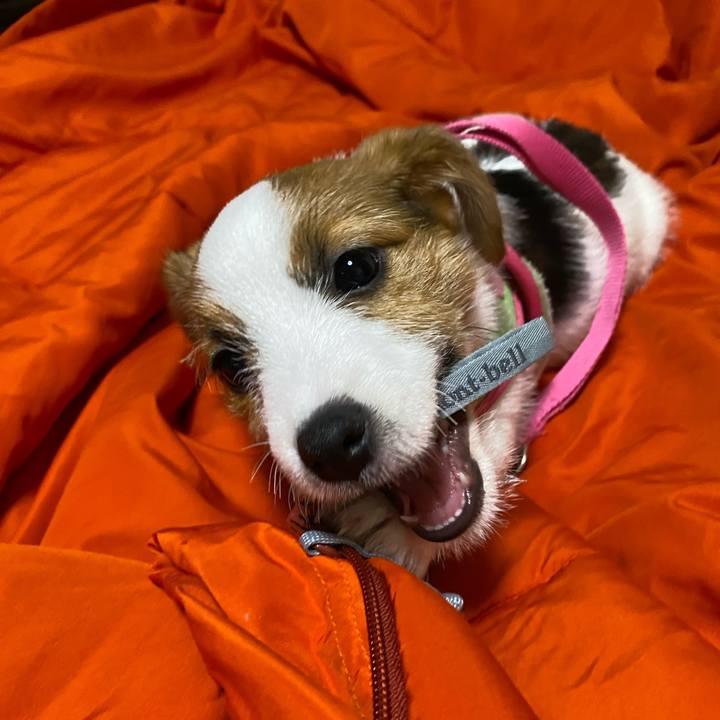 0935fe15 4594 4b38 8858 066c18263e81 1611323776402