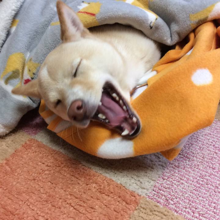 093613a0 eed2 4e85 9e64 e883257edef1 1516159310205