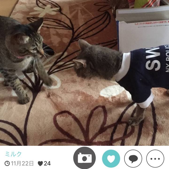 09361816 6f84 4bcb a6e4 08bbc00fcaf3 1511691234507