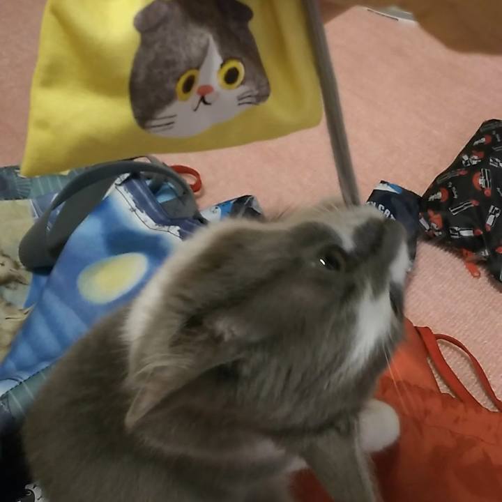 09364520 71f8 4f00 8150 c496838a145f 1566945602714