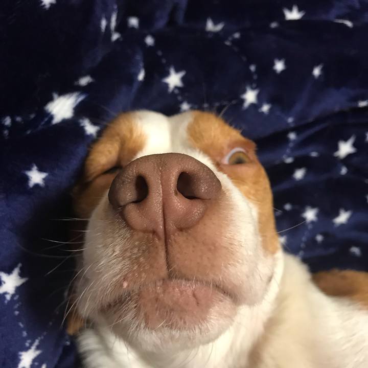 09365678 5a6c 4dc5 a34e e6f538cb067b 1553176734051