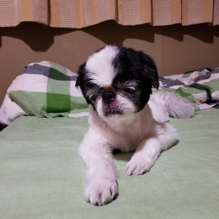 0936af3c ef5c 48c5 afd9 7aea8a40a54d 1593692157570