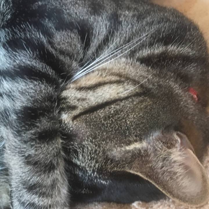 0936b5e9 30cb 4bc9 b1a4 0bdf609e0e24 1508977535839