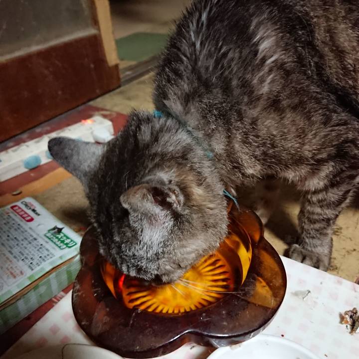 0936c951 658b 4168 a791 eee089539683 1565380549605