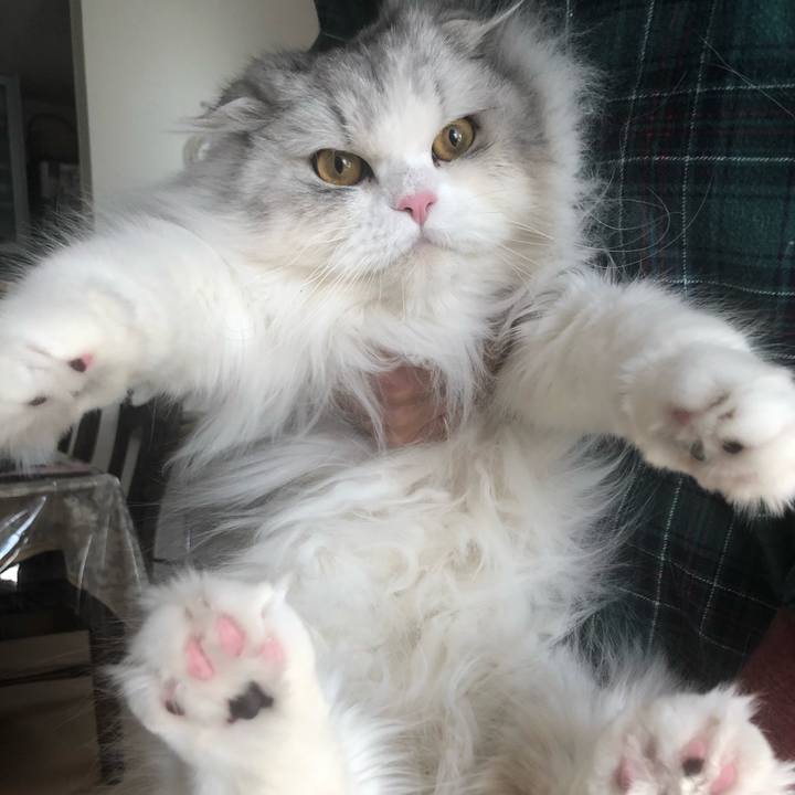 093701dd 472f 4fca 9660 71faf01a5ae2 1645859902037