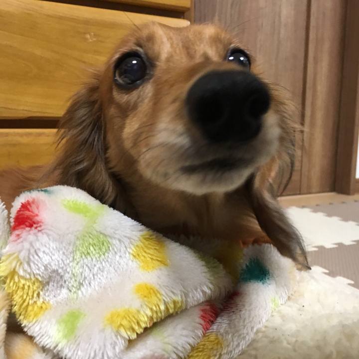 093702f4 a086 4a1c 90dd 5428799c9193 1544882641791