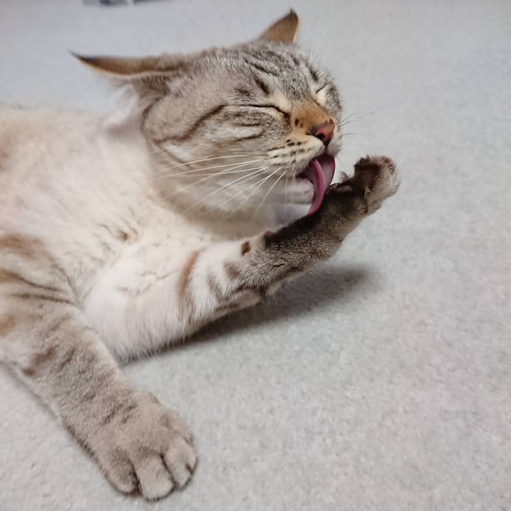 0937172b 0065 41bb b12f 090a8dbcb948 1565529165118