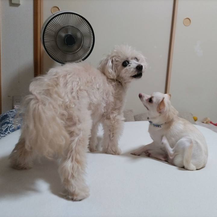 09372427 3bda 435d 99c2 d481d29fcabd 1723203637214