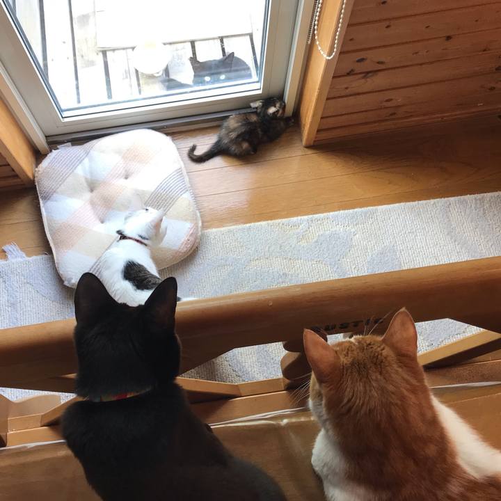 0937360a 46a6 4915 afa8 ec38bf672432 1597009666334