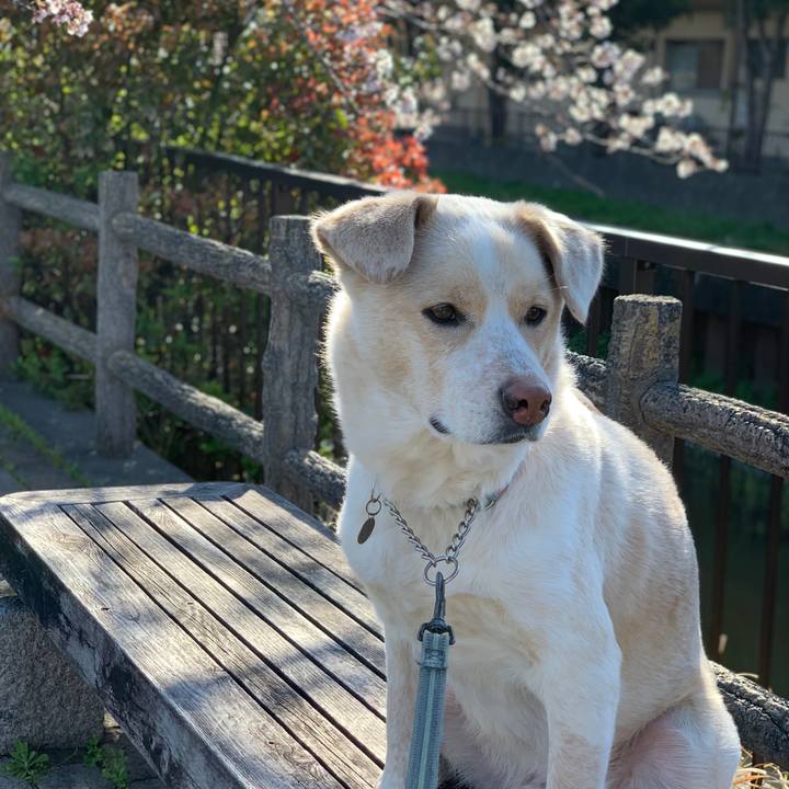 09374ce8 327f 4b00 9c73 79c52670c3d5 1554336811417