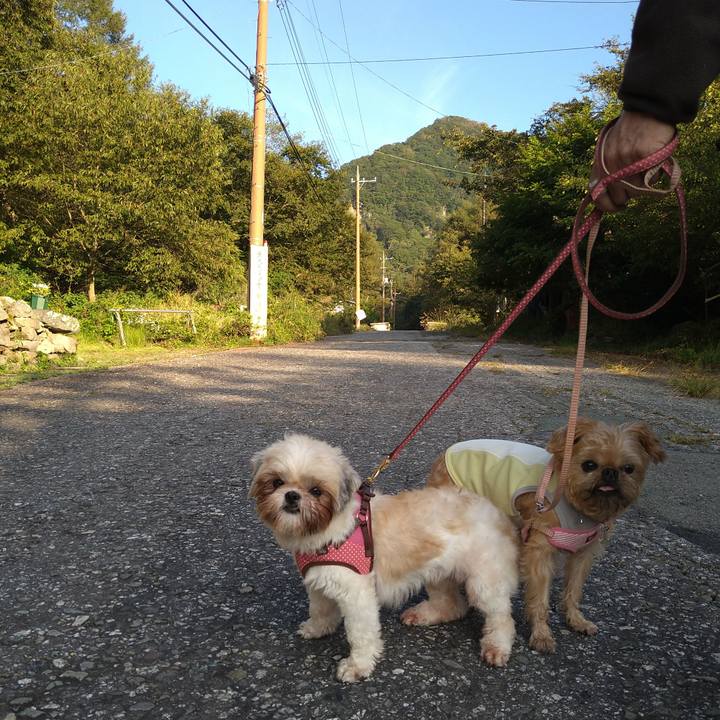 0937576a 0c26 420d b4d0 28b007c005b4 1600903530742