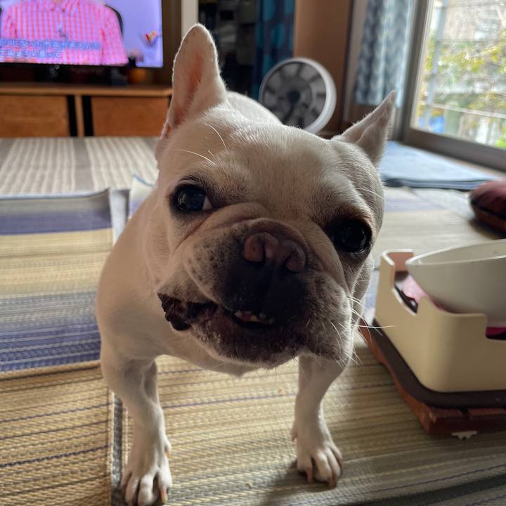 09375dd0 44c9 4175 be2f baf8ceb44964 1758323339421